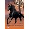 Pferde und Drachen f�r Leser ab 8
