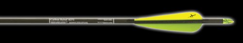 Childrens Toyshop  Sporting Goods : 6 - Pk. Carbon Express® 60 / 75 Rebel™ Arrows with Vane