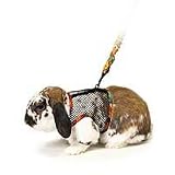 Pet Supplies : Comfort Harness Stretchy Leash - Large