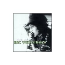 The Live Adventures of the Waterboys