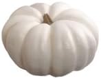 Fake Fruit, Flower or Plant Foliage, Fall Autom Thanksgiving, 4pc, 10"FLAT White PUMPKIN