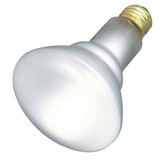 Satco Products S4886 120-Volt Light Bulb