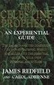 The Celestine Prophecy: An Experiential Guide