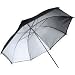 Adorama 40 Silver Interior Umbrella.