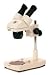 Paragon Stereoscope--Student or Hobby Microscope.