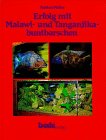 Erfolg mit Malawi- und Tanganjika-Buntbarschen