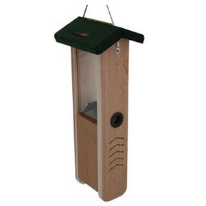 Birds Choice Woodpecker Feeder Green Roof