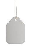 Mr-Label®多色プラスチック園芸ラベル、服装牌-防水、耐久苗木のラベル，45×30mm，100枚 (灰)