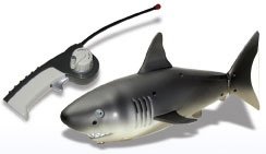 Swimline RC Shark