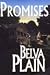 Book Promises (G K Hall Large Print Book Series)