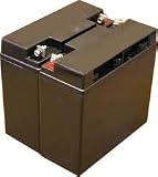 Battery-Biz Inc. 12 Volt 17 Ah SLA UPS battery