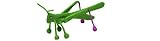 Hog Wild Bug Benders, Grasshopper