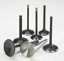 Exhaust - Head Dia. 1.61in OAL 4.505in Stem Dia. .3106in