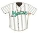Baseball Pin - Florida Marlins Jersey Pin by Aminco