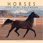 Cal 99 Horses