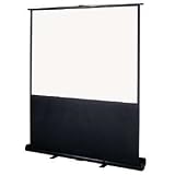 Apollo Instant Cinema Portable Screen, 60in. Diagonal
