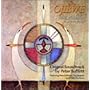 Ojibwe: Waasa Inaabidaa