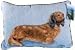   - Dachshund Longhair Pillow2008