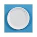 Lightweight Paper Plates 9