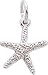 Jewelry : Starfish Charm by Rembrandt Charms