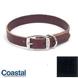 Coastal 18 inch Black 3/4 Town Collar