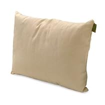 Natura Organic Baby/Toddler Cloud Pillow
From Natura
