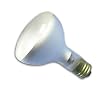 GE 21734 - 500R/3FL - 500 Watt R40 Incandescent Flood Light, Mogul Base