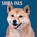 Dog Breeds Shiba Inus Calendar