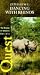 Quest - Zimbabwe: Dancing with Rhinos [VHS]