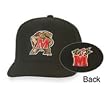 Maryland Terrapins Mascot Fitted College Cap