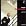 Philippe Herreweghe - Portrait