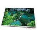 Produkt-Bild: AU Optronics B141XN03 (V.0), 14.1 Inch Notebook Display