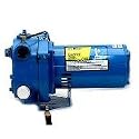 Carefree Convertible Jet Pump - 2810E-01 3/4Hp Conver Jet Pump