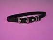 Hamilton Deluxe 5/8" S/T Nylon Dog Collar, Black, 18"