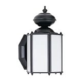 89270PBLE-12 - SeaGull Lighting Single-Light Fluorescent Outdoor Wall Lantern