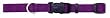 C NYL ADJ. COLLAR LG 1" PURPLE