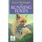 The Running Foxes (Ulverscroft Large Print Series)