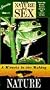 Nature of Sex: A Miracle in Making [VHS]
