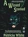 A Wizard Scorned