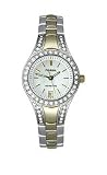Fossil Watch - Katalina - White