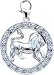 Zodiac Leo, 14K White Gold Diamond Charm