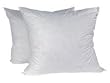 2 Luxury 30" Pillow Inserts Super High Quality Super Soft Down Feather Filling for Euro Sham (2, I.e. a Pair)