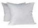 2 Luxury 30" Pillow Inserts High Quality Extra Soft Poly Filling for Euro Shams (Pair)