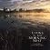 Natural Encounters: Loons in Morning Mist