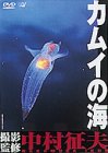 カムイの海