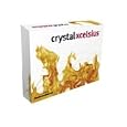 Crystal Xcelsius 4.5 Professional Full Product from Operating Systems