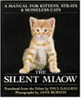 Cover image : The Silent Miaow
