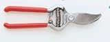 21XbpUnrgmL. SL160  Petit Pruner