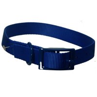 Nylon Collar 3 8X12 Blue