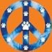 Tie Dye Peace Sign Pawprint Car Magnet